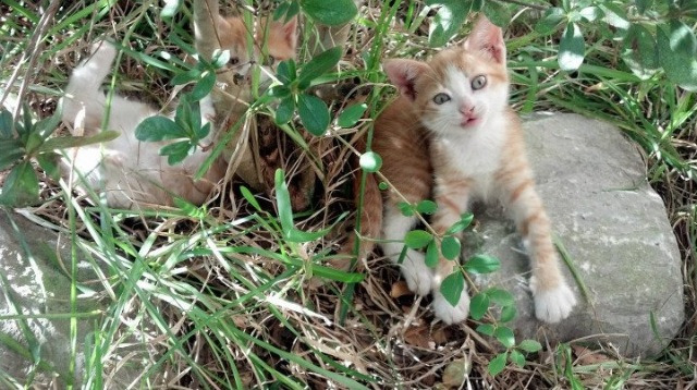 Kaiyun APP-【规则深度解读】最新犯规与罚分变化解析，运动员该如何应对？