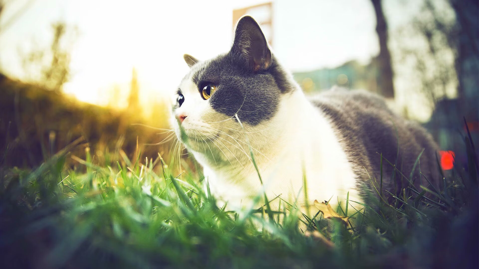 乌拉圭男足在巴黎奥运会上展现出强大的团队协作能力,乌拉圭男足阵容