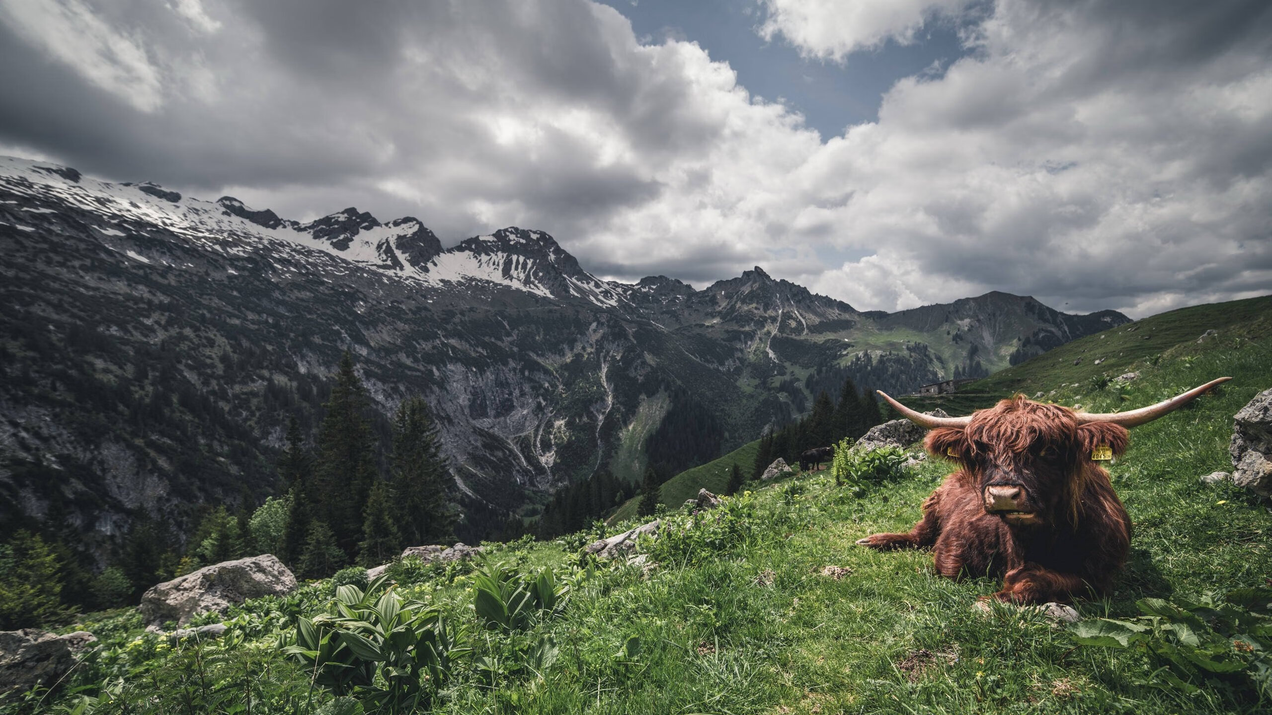 全民娱乐:家庭版台球比赛受热捧,家庭台球室效果图