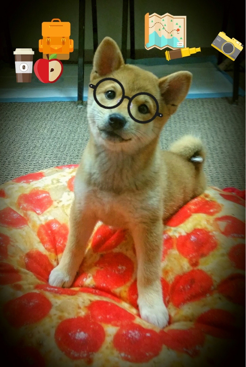 史诗级比赛回顾：那些经典瞬间永远难忘，回顾比赛精彩瞬间