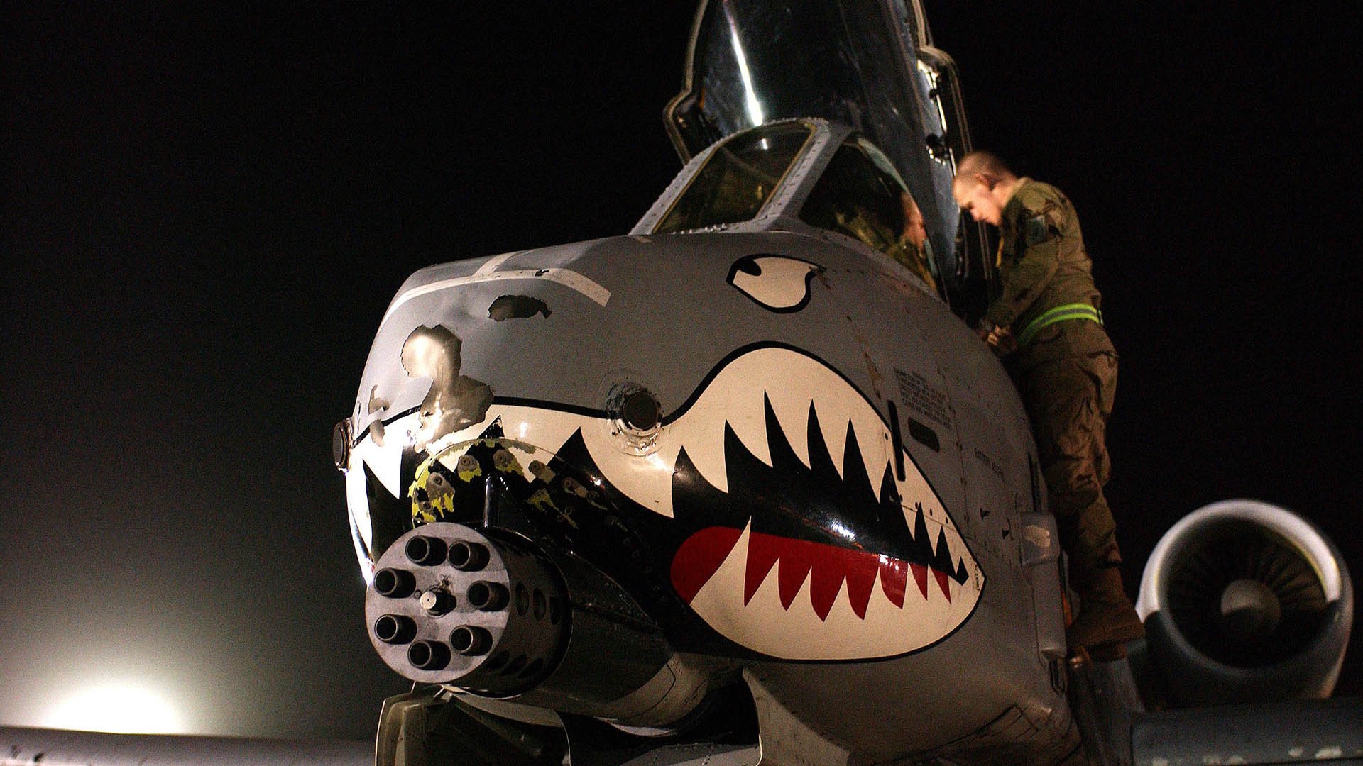 未来趋势：联盟的“绿色计划”将引领体育环保新风尚，绿色联盟应用体验标准