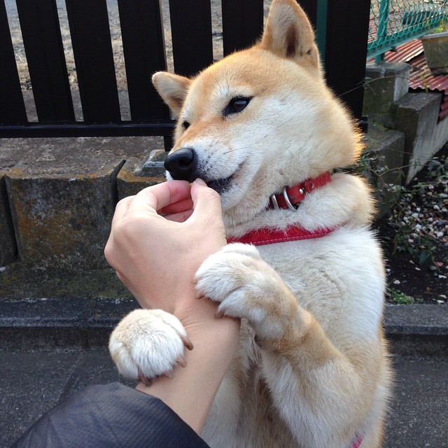 开云网页版-未来足球青训营，培养新时代球星，足球青训改革