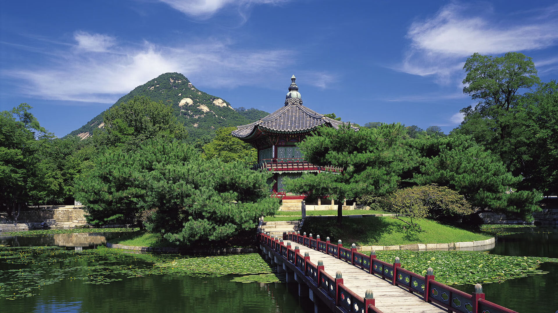 kaiyun中国官方网站-青少年“梦想领跑”全国篮球训练营在南京火热开启，助推青训行业升级