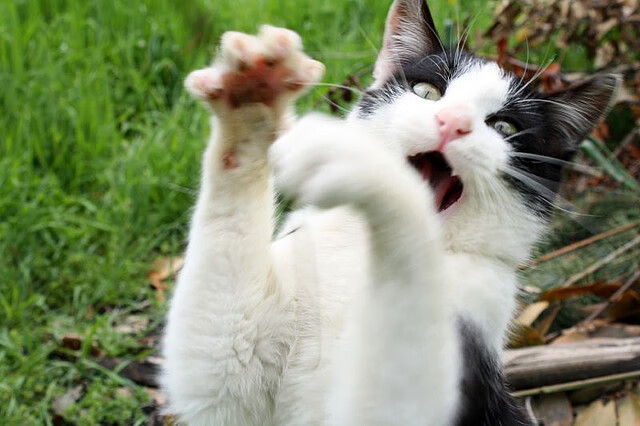 青少年“梦想领跑”全国篮球训练营在南京火热开启,助推青训行业升级