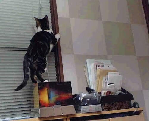 开云官方-T1战队蝉联国际冠军，t1战队几个冠军